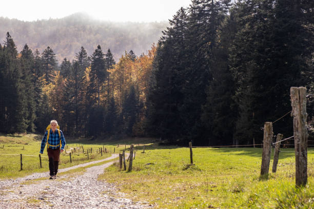 Senior man hiking in the forest