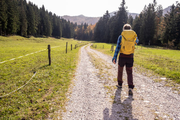 Senior man hiking in the forest