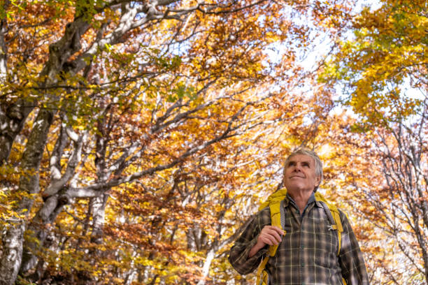 istock Senior man hiking in the autumn forest 2179192970