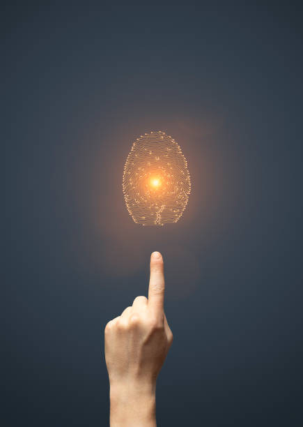 Extreme close-up of an index fingerprint, revealing intricate ridge details. Conceptual image for cybersecurity, biometrics, forensic analysis, and personal identity verification.