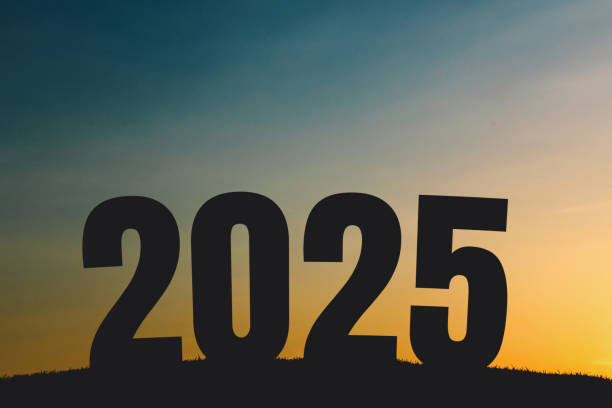 istock Field with grass happy new year 2025 creative idea. Silhouette 2025 2179210085