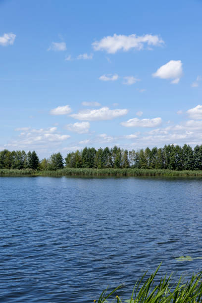 istock waves on the lake in the summer 2179219703
