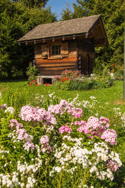 istock French Alps landscape in summer 2179220015
