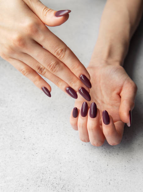 istock Elegant hands with almond-shaped maroon nails displayed against a gray tabletop background in soft lighting 2179220200