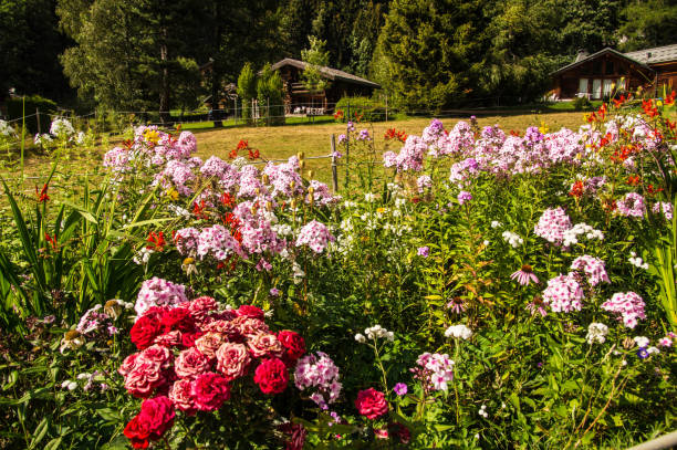 istock French Alps landscape in summer 2179220247