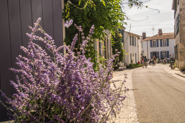 istock Charente Maritime landscape of the Ile de Re 2179228721