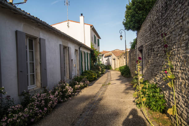 istock Charente Maritime landscape of the Ile de Re 2179232752