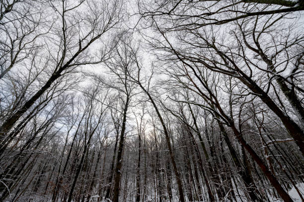 Winter scenes around Harriman State Park, in Southfields New York, in the lower Hudson Valley.