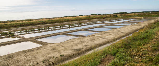 istock Charente Maritime landscape of the Ile de Re 2179242673