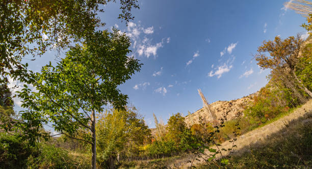 A scenic view of a mountain landscape under a clear blue sky, surrounded by lush green trees. The wide-angle perspective captures the beauty of nature and the tranquility of the outdoors.