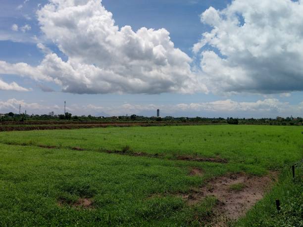 istock cloudy sky in the field in summer 2179245525