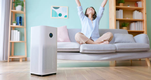 woman use air purifier home