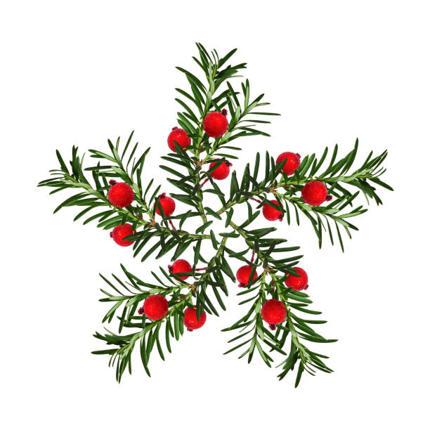 istock Star or snowflake of coniferous branches decorated with artificial red berries. 2179252543
