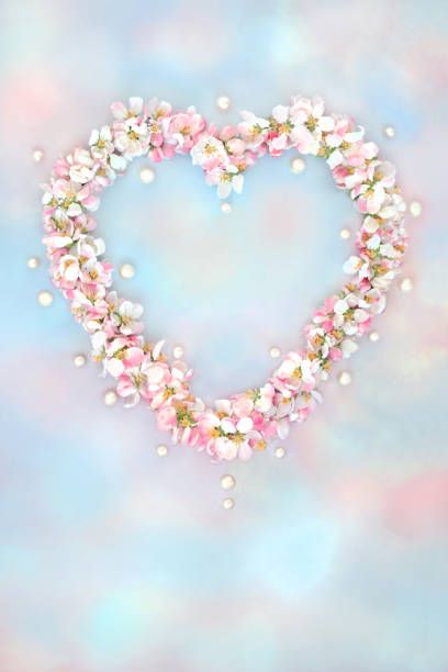 Heart shape Spring Beltane apple blossom flower wreath on abstract sky background with oyster pearls. Seasonal floral love symbol for Mothers Day, birthday, wedding, Valentines