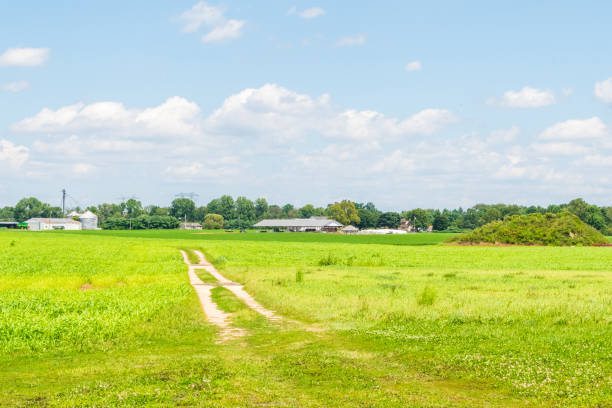 Farm buildings and a dirt road with blue sky and clouds