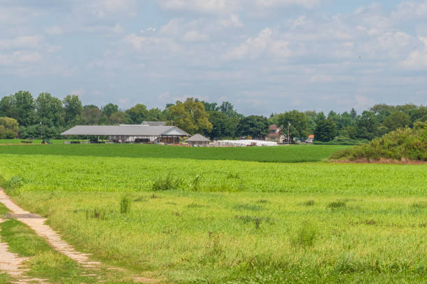 Farm buildings and a dirt road with blue sky and clouds