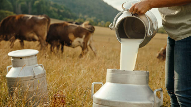 istock Farmer Pouring Fresh Milk into Container in Pastoral Setting 2179262074