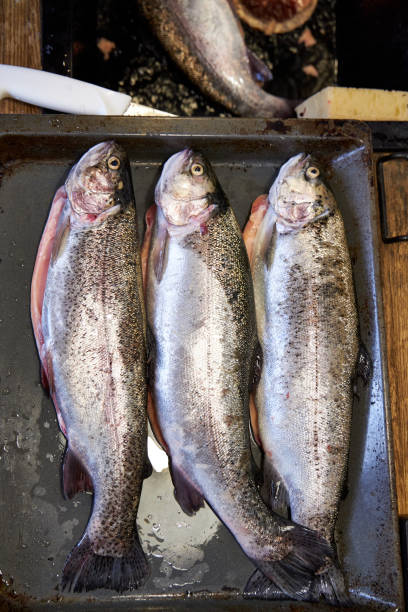 istock Raw fish lying on a plate in the kitchen close-up view from above 2179283582