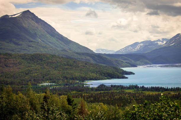 A serene view of Skilak Lake surrounded by lush forests and majestic mountains, showcasing the beauty of Alaskas natural landscape under a gentle sky.