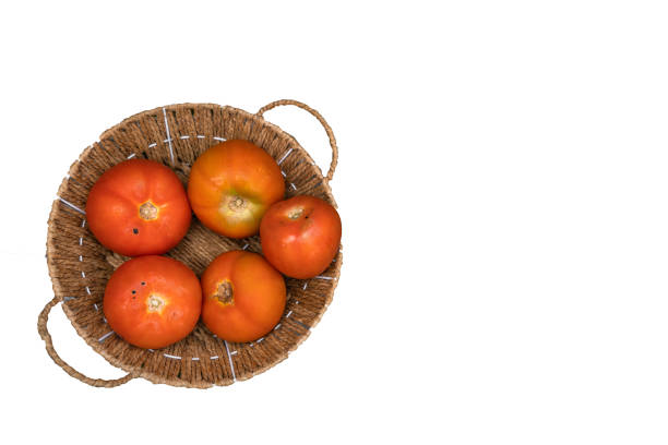 Ripe juicy red tomato close-up on a wooden table against the background of a basket with a harvest of tomatoes