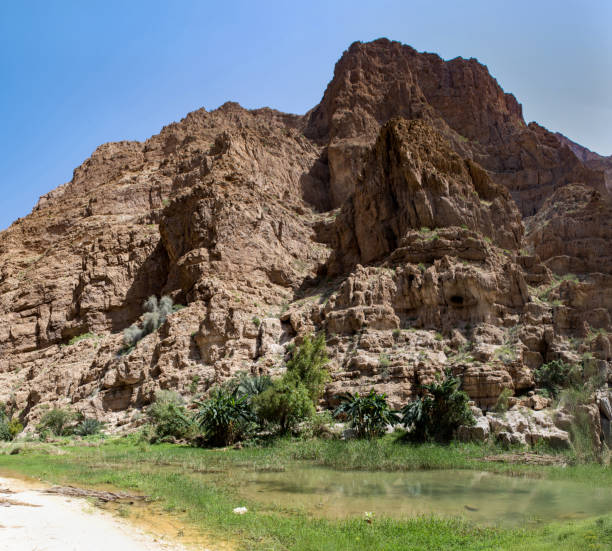 istock Canyon Wadi Ash Shab, Oman 2179316380