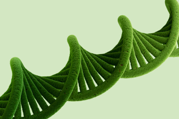 Grass covered DNA helix, Renewable Energy, Healthy Lifestyle. Digitally generated image. 3d render.