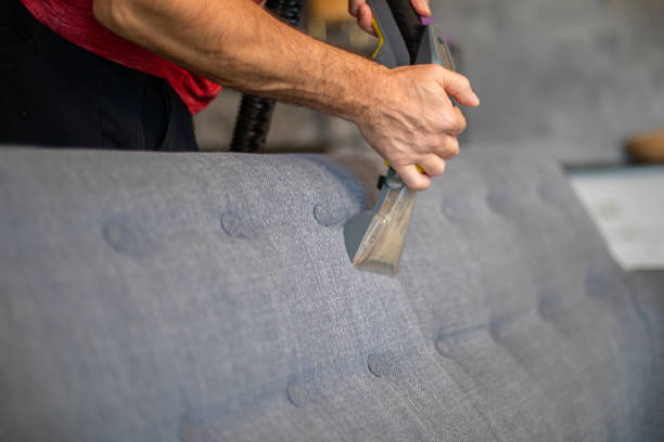 istock Cleaner is using extractor machine to clean the bed mattress in the house 2179323214