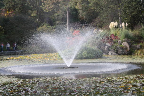 istock The Garden Fountain 2179334360