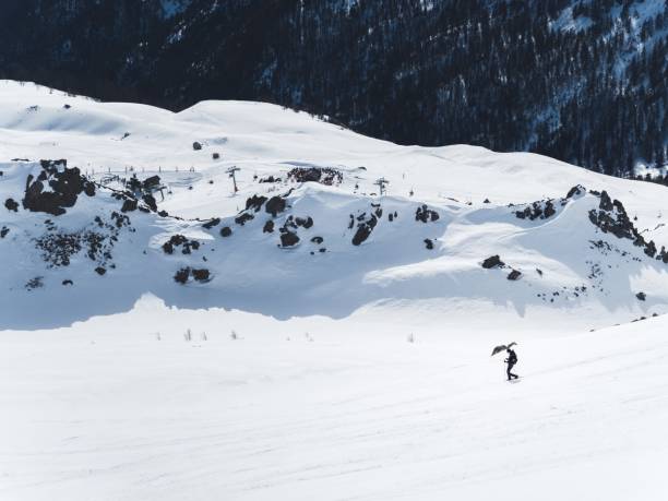 istock Snowshoeing in Serre Chevalier mountain range 2179337839