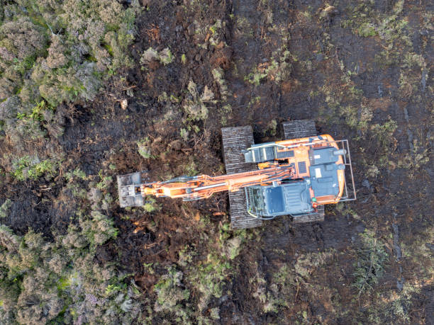 istock Overhead view of a bulldozer restoring a peat bog 2179366539