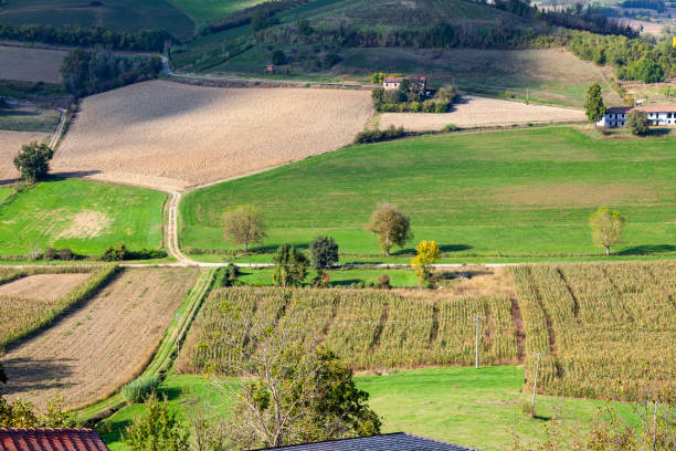 istock Monferrato countryside panorama. Color image 2179369821
