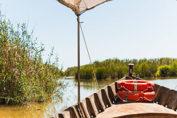 The Albufera Natural Park (in Valencian Parc Natural de l'Albufera) or simply La Albufera is a Spanish protected natural area located in the province of Valencia, Valencian Community.