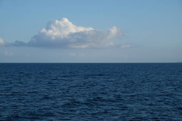 istock South see, Guadeloupe 2179408586