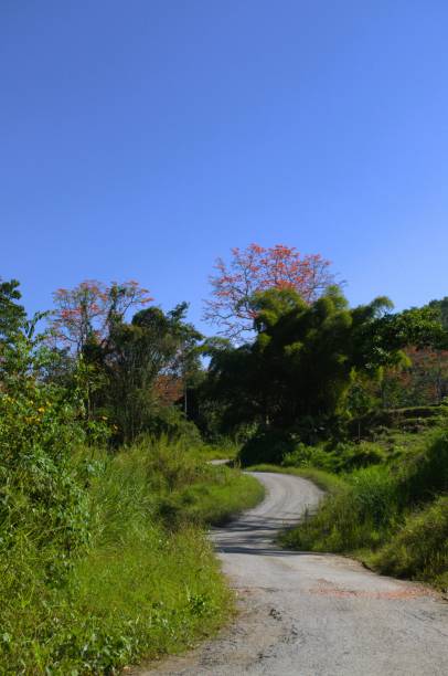 istock The mountains of Trujillo State. 2179415032