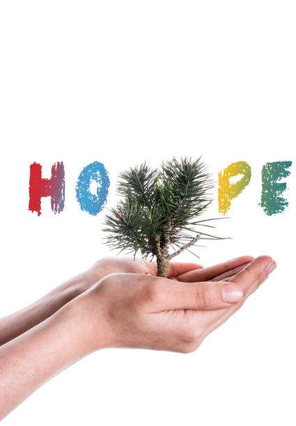 hand holding  a tree seedling on globe in hand on white background