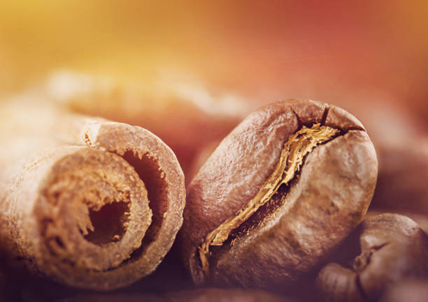 Macro photography of a coffee bean and a cinnamon stick