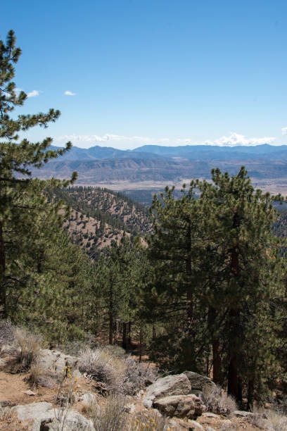 istock Mount Pinos, California 2179425296