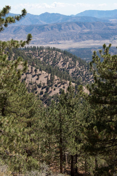 istock Mount Pinos, California 2179425343