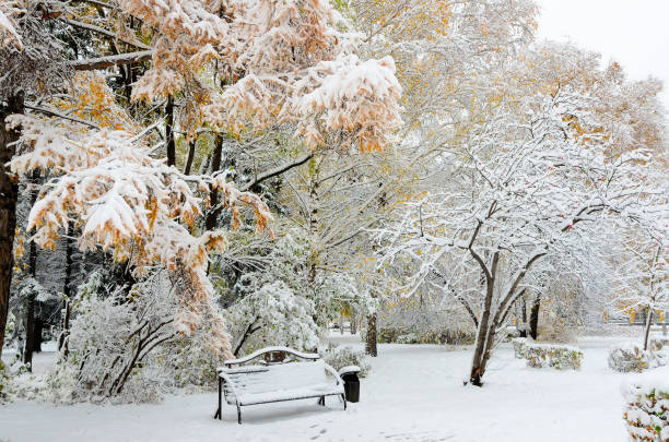 istock City park in late autumn after first snowfall 2179425890