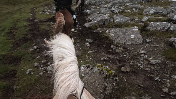 istock Horseback Riding on an Icelandic Horse 2179436881