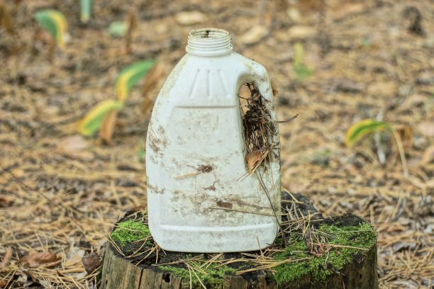 one old dirty white plastic canister stands on stump outdoors in nature
