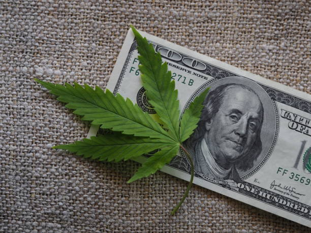istock business hemp concept. cannabis cloth and dollars. 2179468665