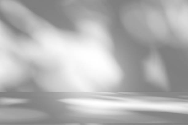 istock Wall interior background, studio and backdrops show products.with shadow from window color white . background for text insertion and presentation product 2179483755