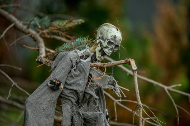 istock Decoration for halloween in the house in Canada 2179489110