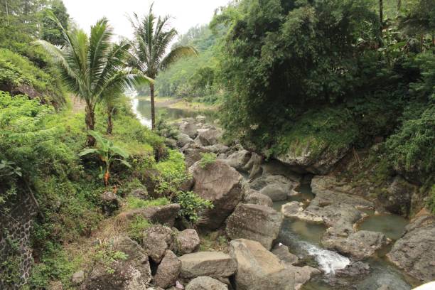 istock View of the river and rocks 2179490141