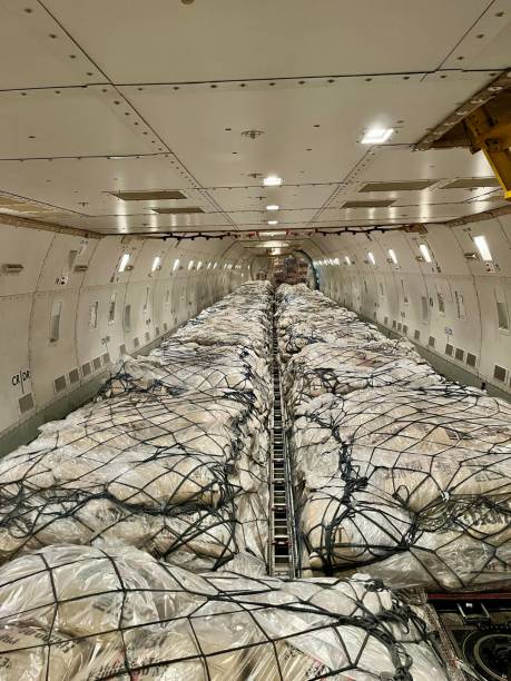 istock Cargo aircraft loaded with goods, ready for transportation on a clear day 2179495073