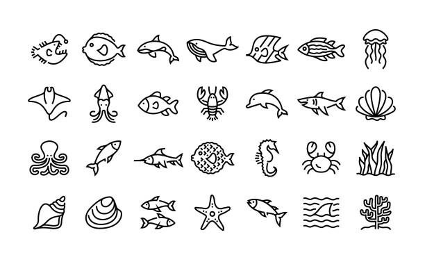 21,200+ Tropical Fish Icon Stock Illustrations, Royalty-Free