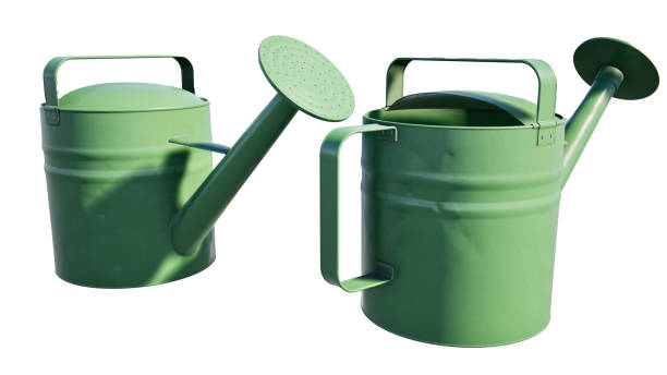 istock green watering can isolated, clipping path 2179505533