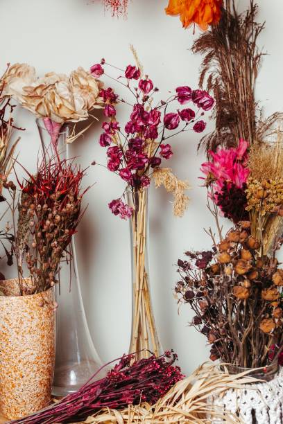 istock Vibrant dried flower arrangement in vases. 2179506820