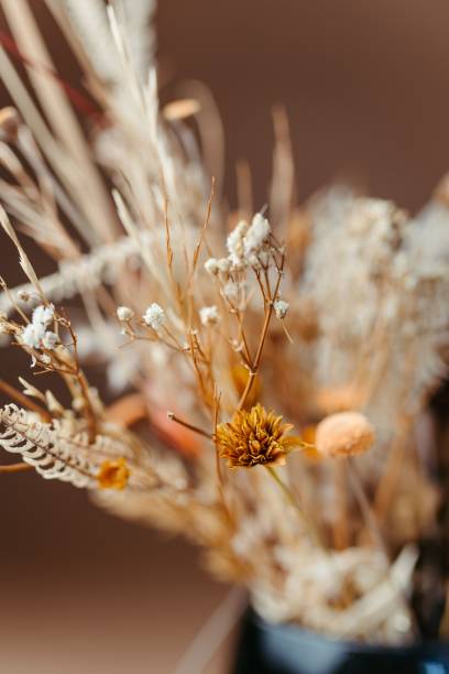 istock Dried Floral Arrangement Close-Up 2179506876